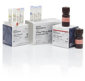 Applied Biosystems™ Yfiler™ Plus PCR Amplification Kit