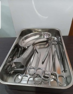 Stainless steel Delivery set