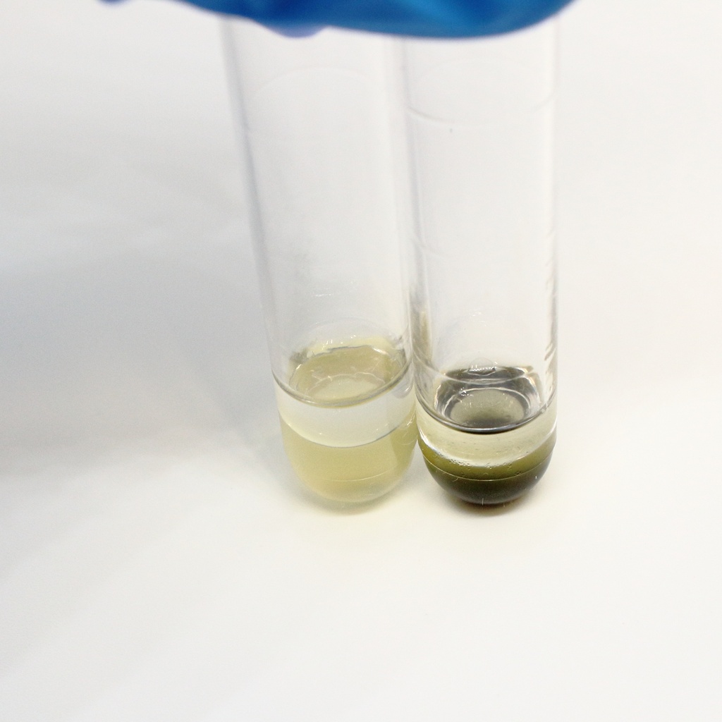 Liofilchem™ Hydrogen Sulfide Test, 30 Tests