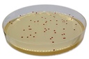 CHROMagar™ Campylobacter