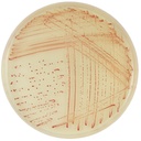 CHROMagar™ Campylobacter