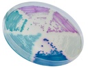 CHROMagar™ Candida Plus