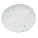 CHROMagar™ E. coli