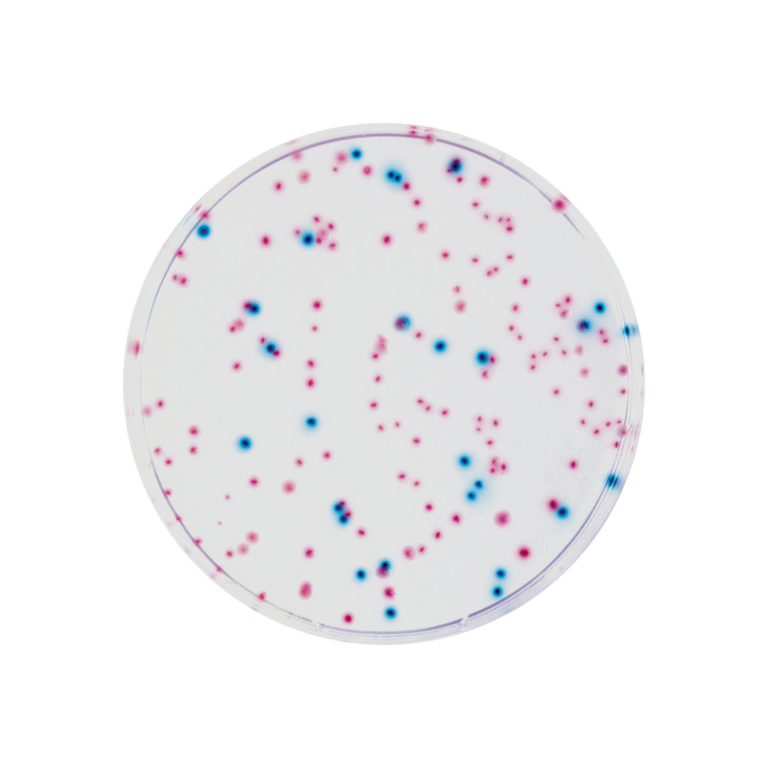 CHROMagar™ ECC, 500g