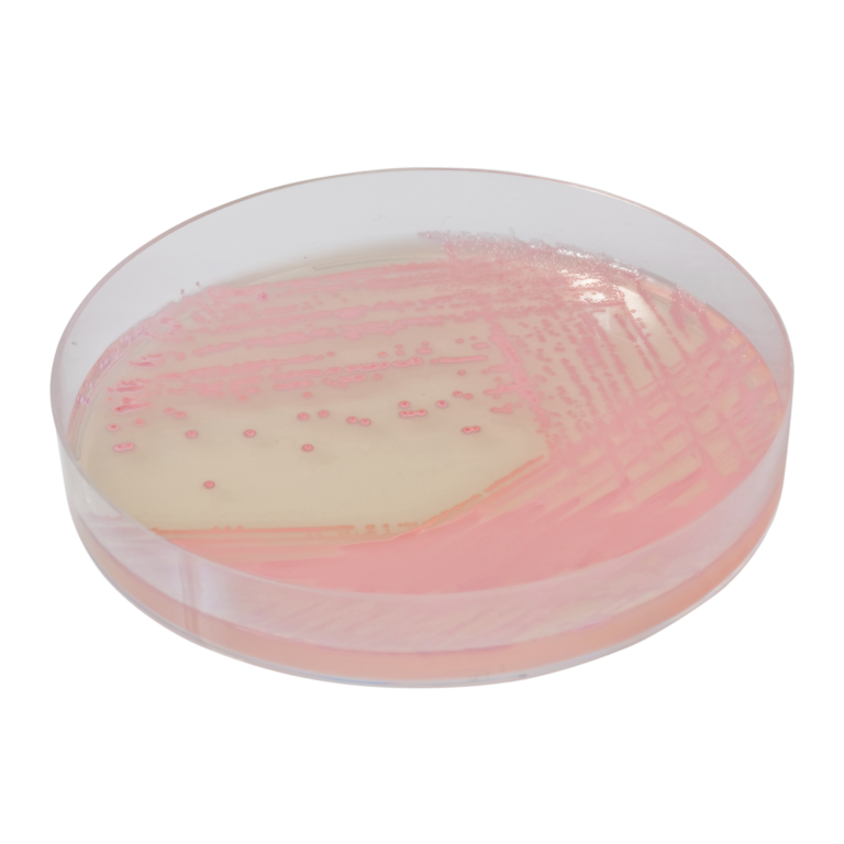 CHROMagar™ MRSA, 5000 mL Pack (Base medium + Supplement)