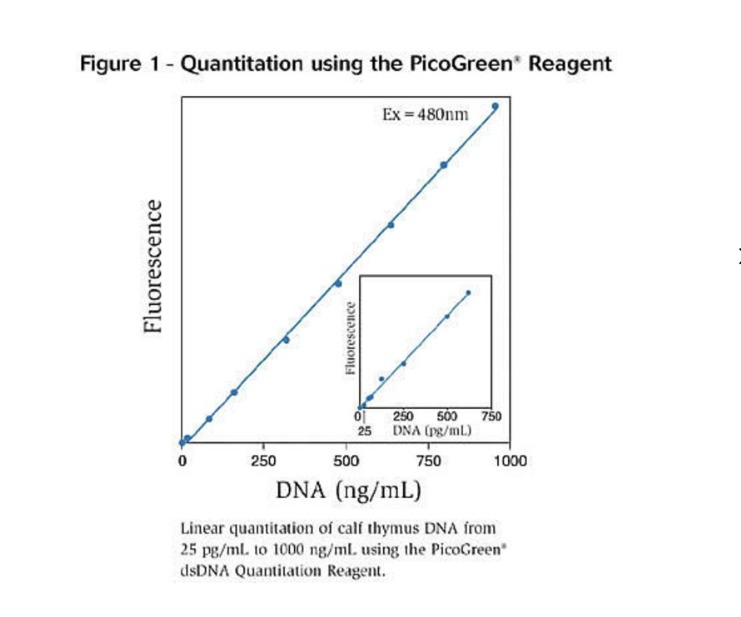 Invitrogen™ Quant-iT™ PicoGreen™ dsDNA Assay Kit, 50 pg to 2 μg