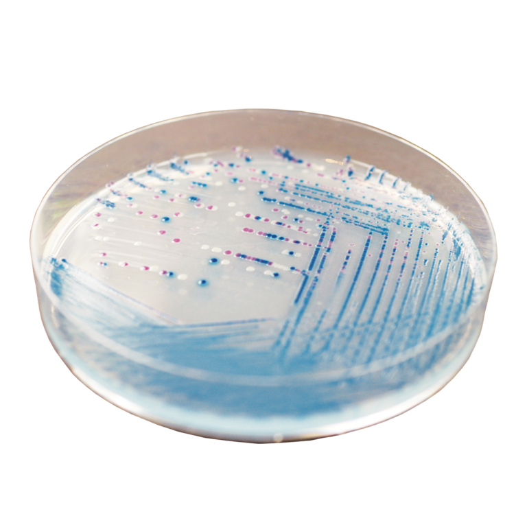 CHROMagar™ O157