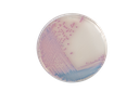 CHROMagar™ Salmonella