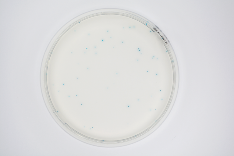 CHROMagar™ TBX (Powder Pack, 500G)