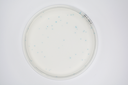 CHROMagar™ TBX (Powder Pack, 500G)
