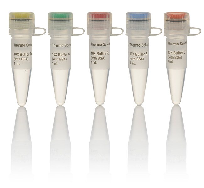 Thermo Scientific™ 10X Buffer Set for Restriction Enzymes, 5 x 1.0 mL