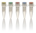 Thermo Scientific™ 10X Buffer Set for Restriction Enzymes, 5 x 1.0 mL