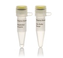 Thermo Scientific™ BcuI (SpeI) (10 U/μL)