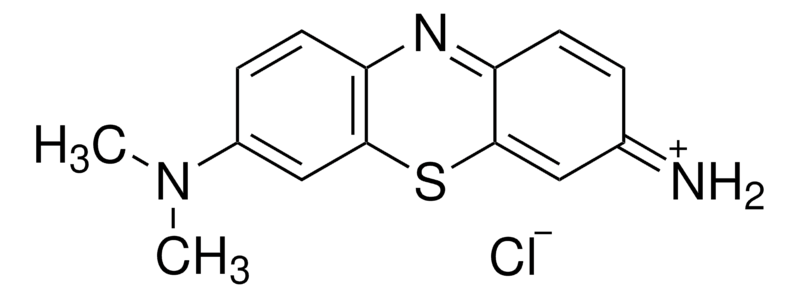 Atom Sci. Giemsa Stain Powder