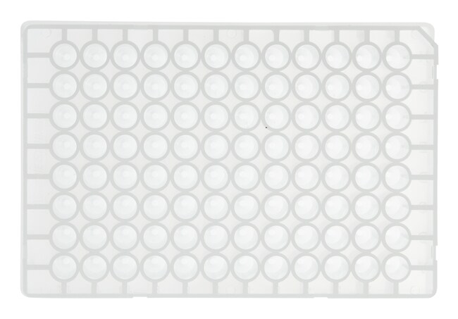 Thermo Scientific™ Abgene™ 96-Well 0.8 mL DeepWell™ Polypropylene Plate