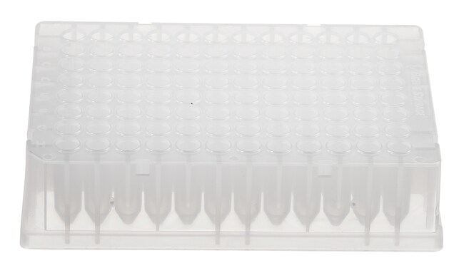 Thermo Scientific™ Abgene™ 96-Well 0.8 mL DeepWell™ Polypropylene Plate