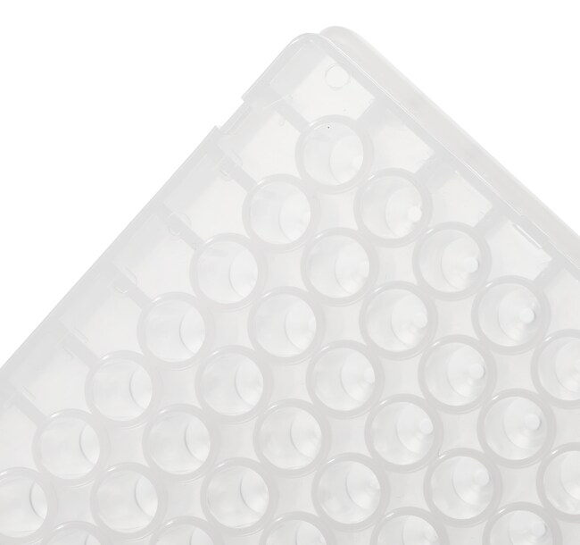 Thermo Scientific™ Abgene™ 96-Well 0.8 mL DeepWell™ Polypropylene Plate