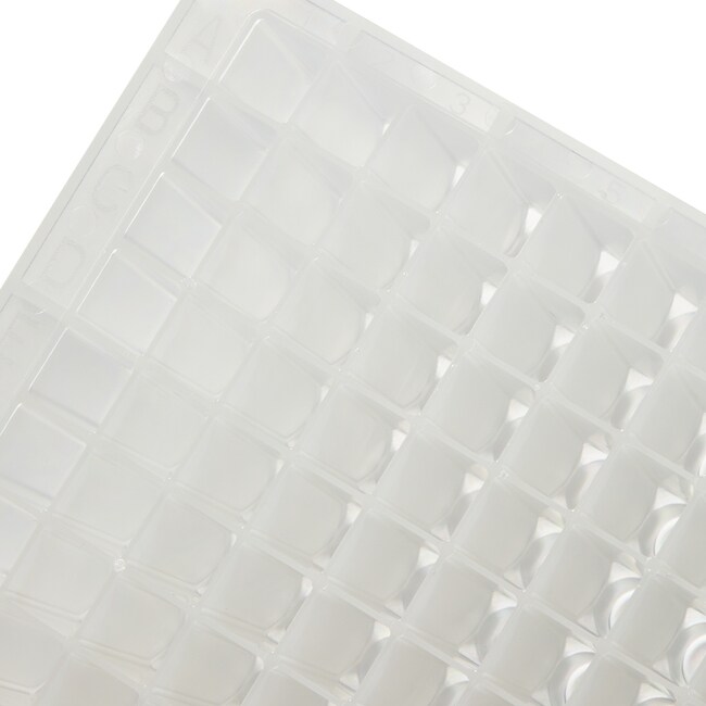 Thermo Scientific™ Nunc™ 96-Well Polypropylene DeepWell™ Plates with Shared-Wall Technology