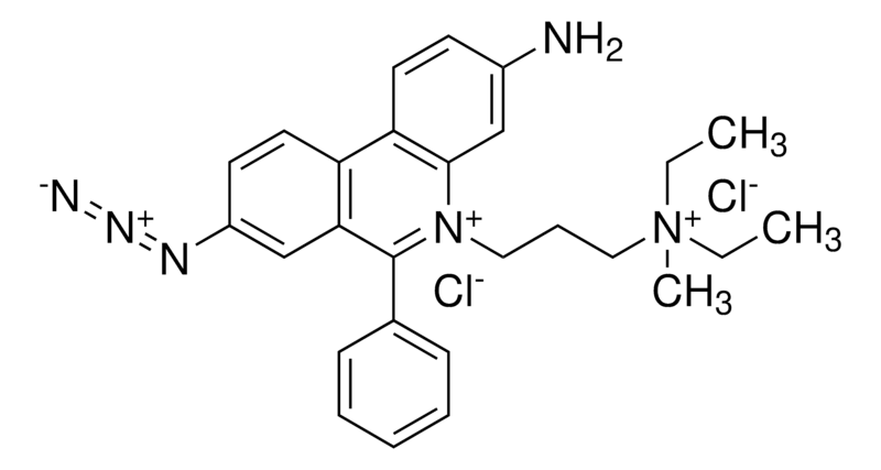 Biotium PMA