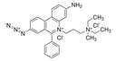 Biotium PMA