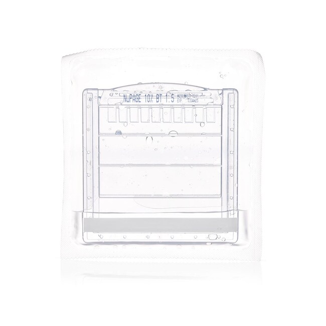 Invitrogen™ NuPAGE™ Bis-Tris Mini Protein Gels, 10%, 1.0–1.5 mm