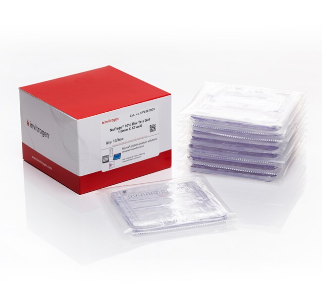 Invitrogen™ NuPAGE™ Bis-Tris Mini Protein Gels, 10%, 1.0–1.5 mm