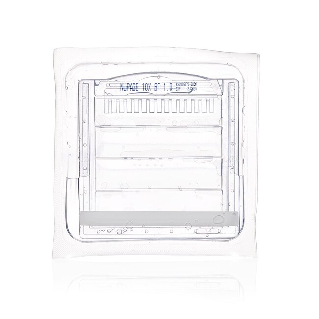 Invitrogen™ NuPAGE™ Bis-Tris Mini Protein Gels, 10%, 1.0–1.5 mm