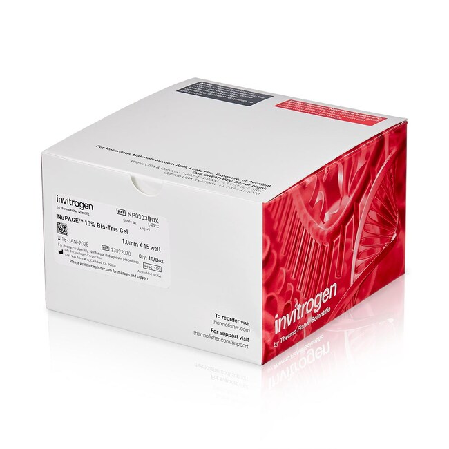 Invitrogen™ NuPAGE™ Bis-Tris Mini Protein Gels, 10%, 1.0–1.5 mm