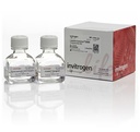Invitrogen™ Lipofectamine™ 3000 Transfection Reagent
