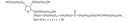 VWR Tween® 80 (Polysorbate), Proteomics Grade