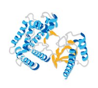 Sigma-Aldrich, α2-3,6,8,9-Neuraminidase, Arthrobacter ureafaciens, Recombinant, E. coli, 250MIU