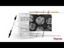 Thermo Scientific™ Dionex™ IonPac™ AS22 IC Column