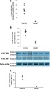 Thermo Scientific™ Invitrogen™ eBioscience™ CD184 (CXCR4) Monoclonal Antibody (12G5), APC, for 100 Tests