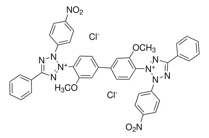 Invitrogen™ Nitro blue Tetrazolium Chloride (NBT), 1g