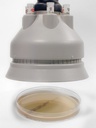 Thermo Scientific™ Oxoid™ Antimicrobial Susceptibility Disc Dispenser