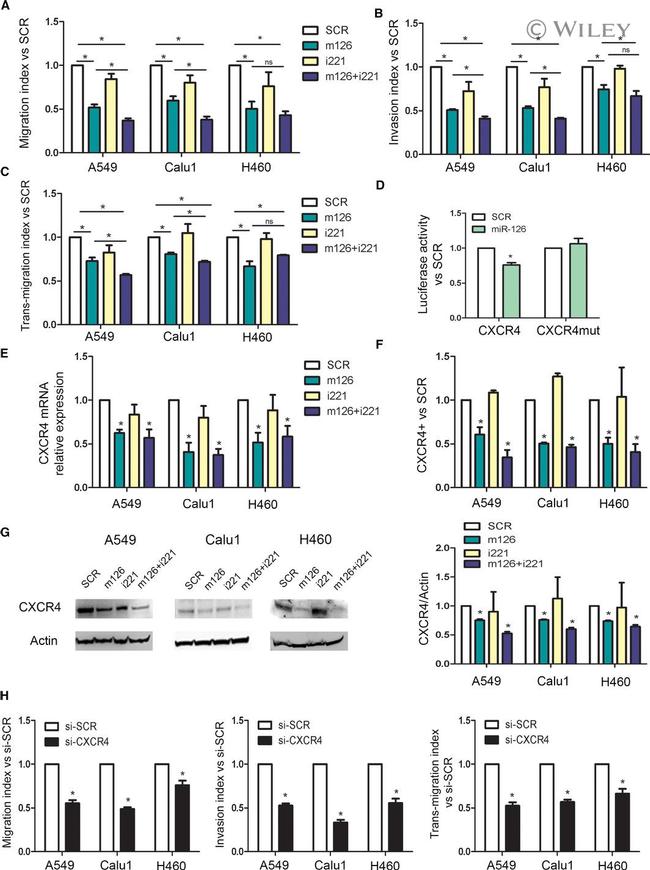 Invitrogen™ eBioscience™ CD184 (CXCR4) Monoclonal Antibody (12G5), PE-Cyanine7, for 100 Tests