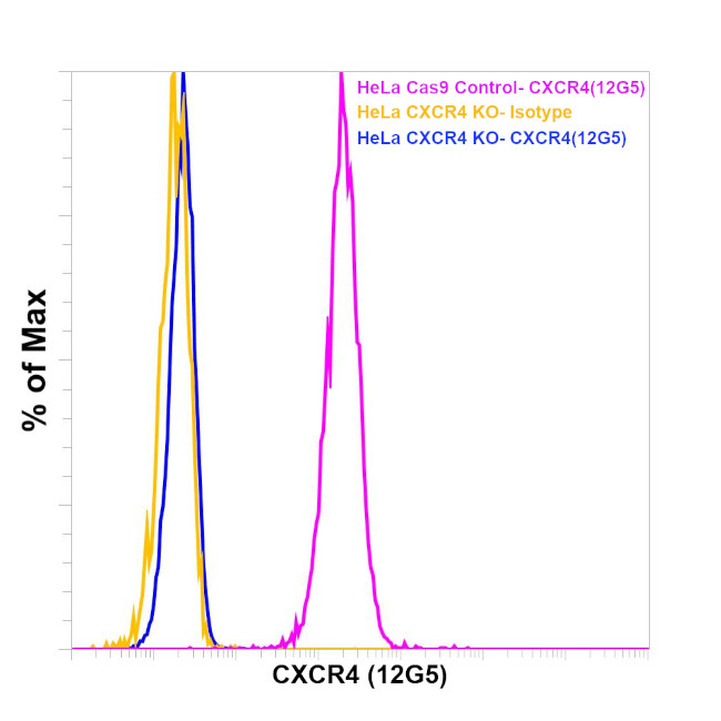 Invitrogen™ eBioscience™, CD184 (CXCR4) Monoclonal Antibody (12G5), PE