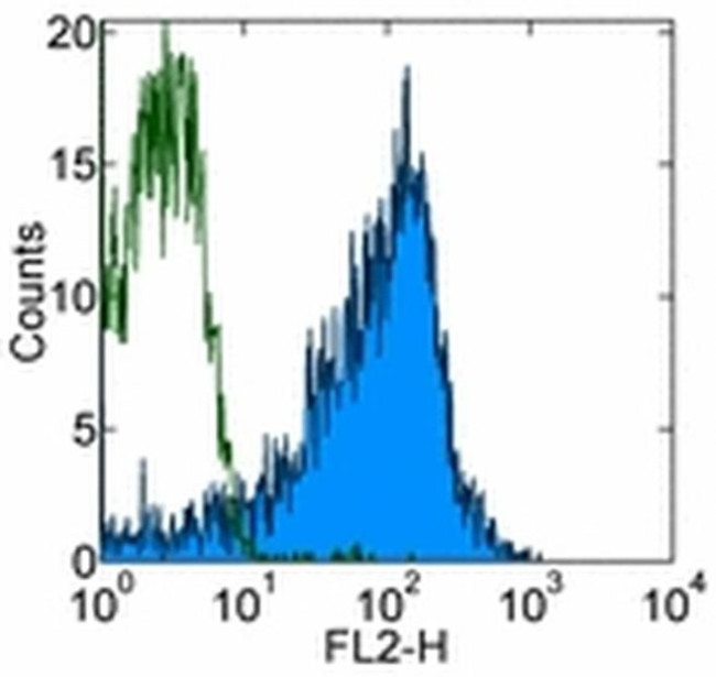 Invitrogen™ p53 Monoclonal Antibody (DO-7), 500 µL