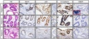 Invitrogen™ p53 Monoclonal Antibody (DO-7), 500 µL