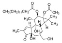 Thermo Scientific™ Phorbol-12-myristate-13-acetate, 97%