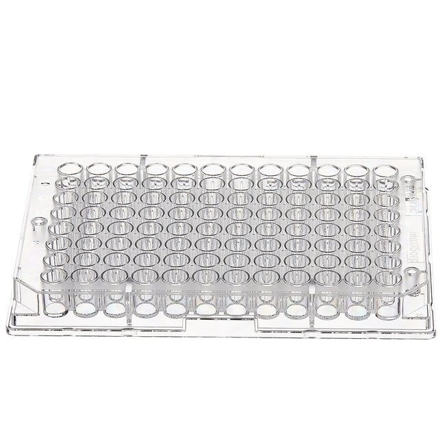 Thermo Scientific™ Nunc™ Clear Flat-Bottom 96-Well Plates