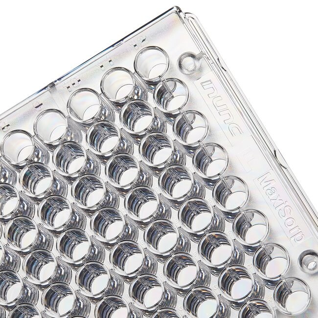 Thermo Scientific™ Nunc™ Clear Flat-Bottom 96-Well Plates