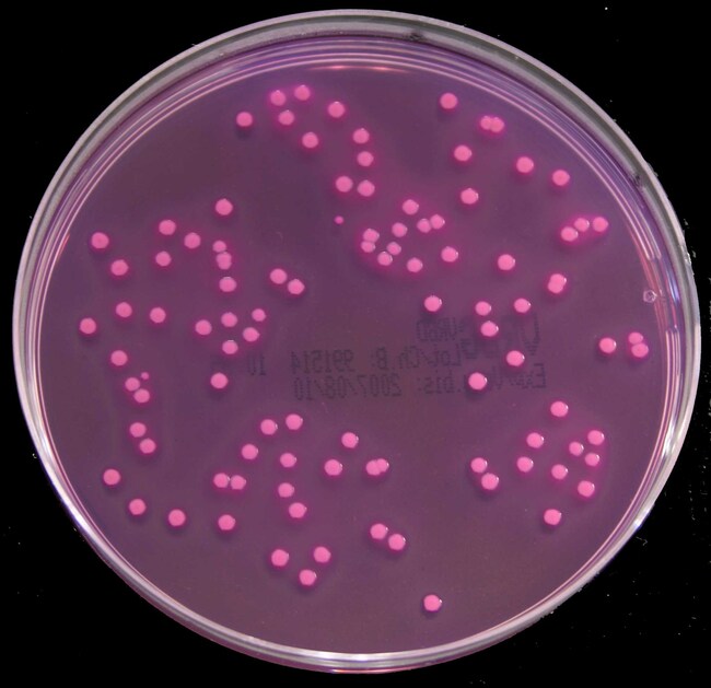 Thermo Scientific™ Oxoid™ Violet Red Bile Glucose (VRBG) Agar (ISO)