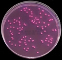 Thermo Scientific™ Oxoid™ Violet Red Bile Glucose (VRBG) Agar (ISO)