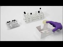 Thermo Scientific™ RapID™ ONE System