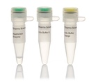 Thermo Scientific™ Hin1II (NlaIII) (5 U/µL), 300 reactions