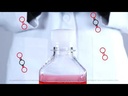 Nalgene™ Single-Use PETG Erlenmeyer Flasks with Plain Bottom: Sterile