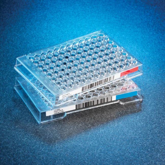 Thermo Scientific™ Sensititre™ Mycobacterium tuberculosis MYCOTBI AST Plate