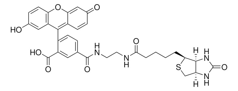 Invitrogen™ Biotin-4-Fluorescein, 5mg