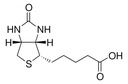 Invitrogen™ D-Biotin (Unconjugated)